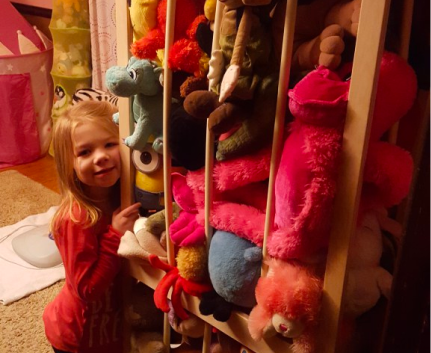 The ZOO ® Clears the Stuffed Animal Clutter In Kids Rooms.